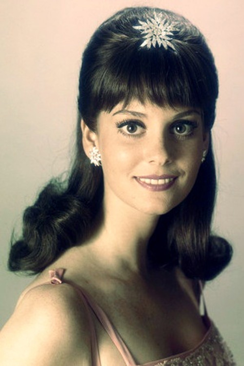 Lesley Ann Warren - Acting Profile Photo