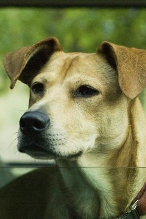 Lucy - Acting Profile Photo