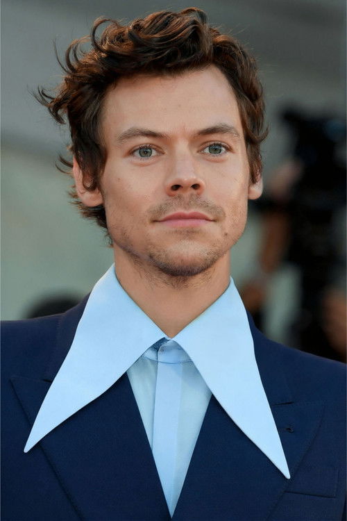 Harry Styles - Acting Profile Photo
