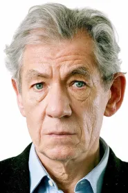 Ian McKellen as Magneto in X-Men: Days of Future Past