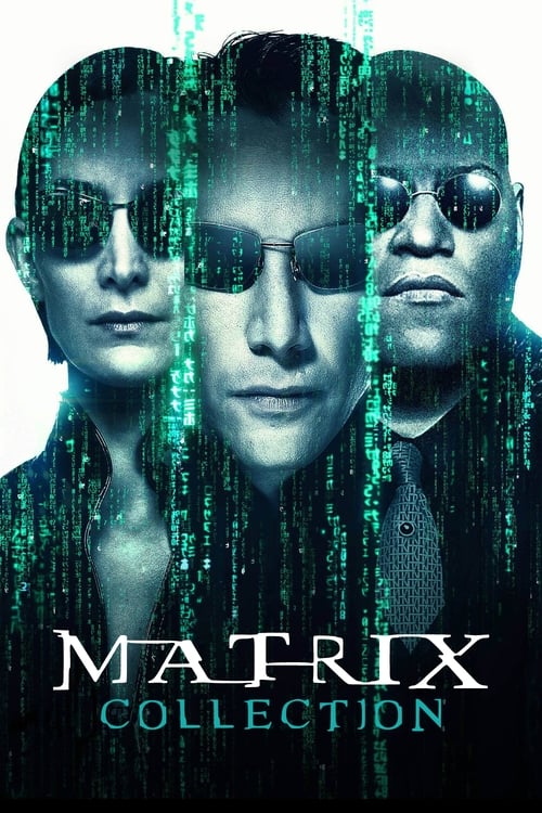 Poster colecție The Matrix Collection