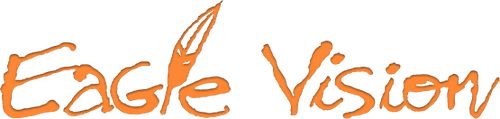 Eagle Vision production company logo