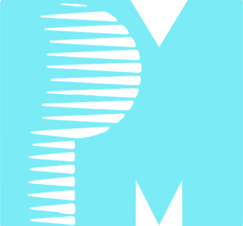 Logo companie de producție PM Entertainment Group