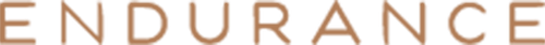 Endurance Media production company logo