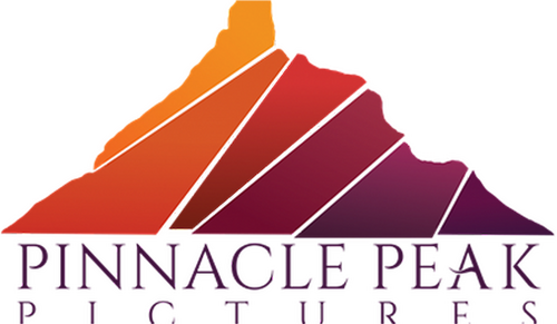 Pinnacle Peak Pictures production company logo