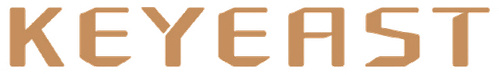 Logo companie de producție KEYEAST