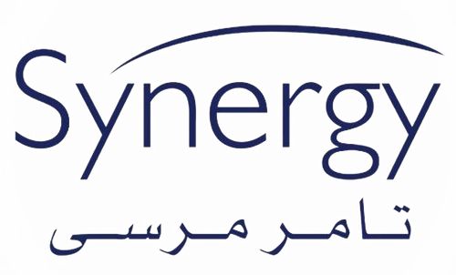 Synergy production company logo