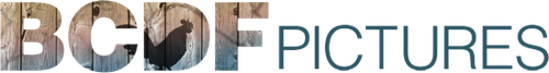 Logo companie de producție BCDF Pictures
