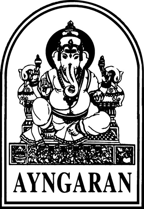 Logo companie de producție Ayngaran International