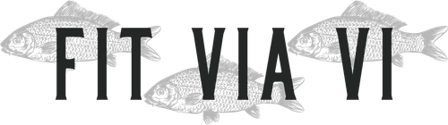 Fit Via Vi production company logo