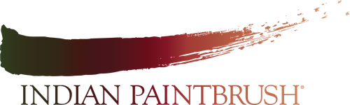 Logo companie de producție Indian Paintbrush