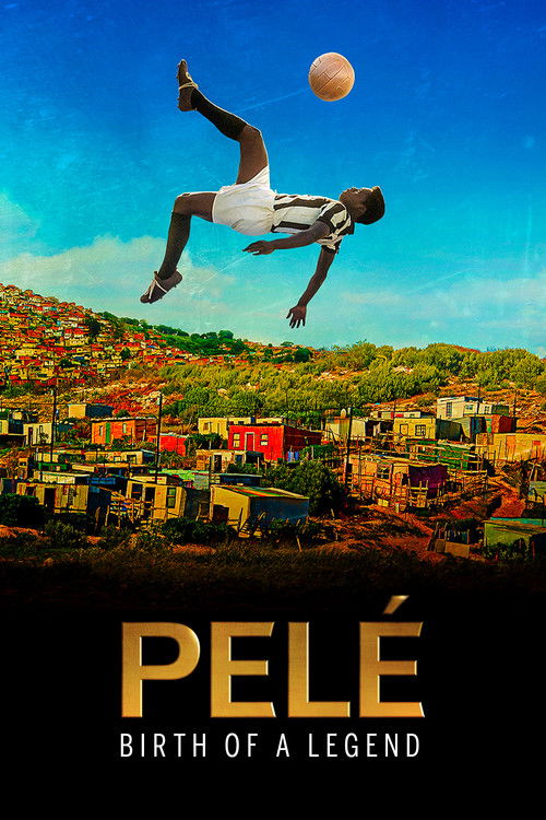Pelé: Birth of a Legend poster