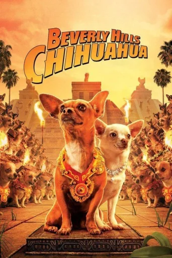 Chihuahua de Beverly Hills