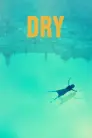 Dry
