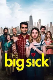 The Big Sick movie poster