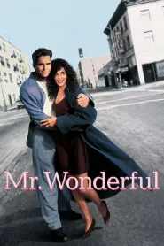 Poster film Mr. Wonderful