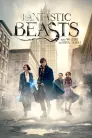 Fantastic Beasts and Where to Find Them movie poster