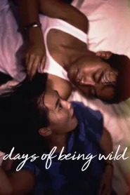Days of Being Wild (1990)