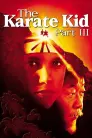 The Karate Kid Part III movie poster