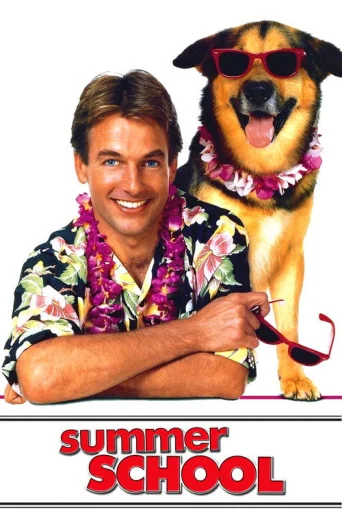 Școala de vară poster