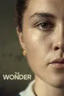 The Wonder