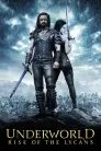 Underworld: Rise of the Lycans movie poster