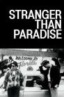 Stranger Than Paradise